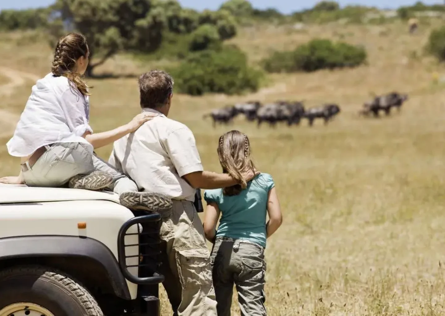 family-safari845